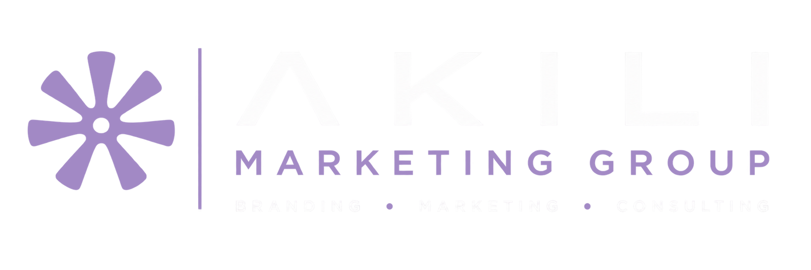 Akili Marketing Group